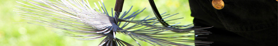 Banner - Renè Gebauer